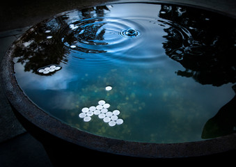 水瓶