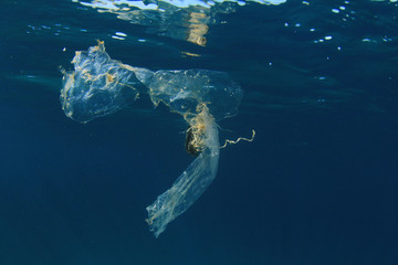 Naklejka premium Zanieczyszczenie plastikowych toreb w oceanie