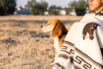 Man and beagle dog calmly sitting and enjoying together in the morning on meadow