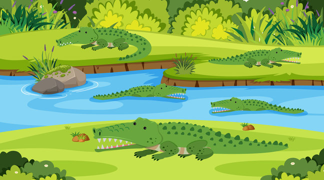 Background scene with crocodiles in the river