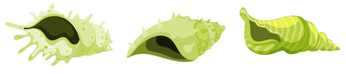 Set of isolated seashells in green color