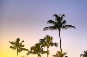 Obraz na płótnie Canvas Sunset over the coast of Kauai, Hawaii.