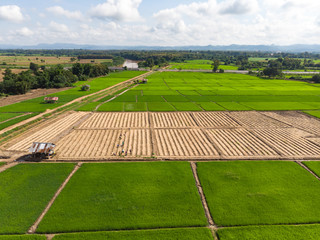 Thai farmer working at small plant or crop plantation