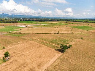 Empty crop field