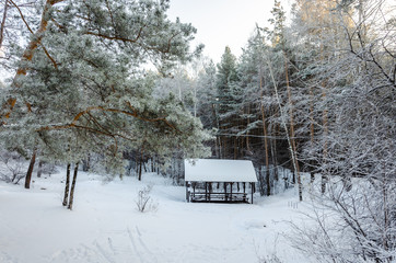 Naklejka premium Canopy made of wood with benches in the winter in the forest under the snow.