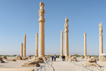 Awesome view of columns of the Apadana Palace, Persepolis, Iran