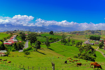 Beautiful rural landscape. Field, street, houses and livestock, a typical scenery in Costa Rica. Cartago, Costa Rica.