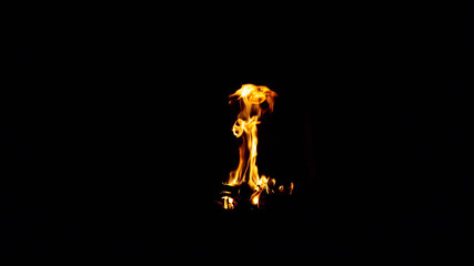 Fototapeta premium Burning wood in the fireplace