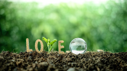 Text and trees make up the word love And the glass globe over blurred green background. For...