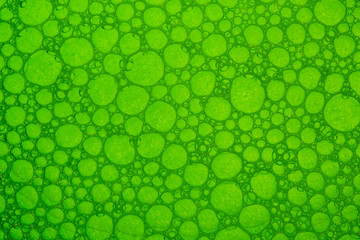 Green abstract background with soap bubbles in the water. Close-up. Macro .