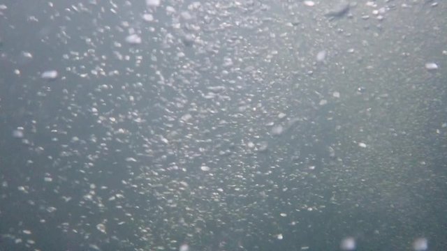 Underwater recording at high resolution of the bubbles circulation.