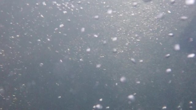 Underwater recording at high resolution of the bubbles circulation.