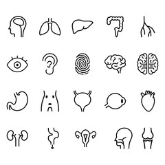 Simple Set of body parts Line Related Vector Icons. Contains icons such as liver, intestine, heart, eyes, stomach and others