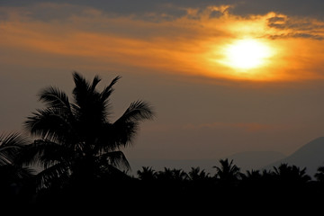 Amazing beautiful sunset with the coconut plams