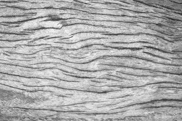 Beautiful vintage black and white wooden wall texture background