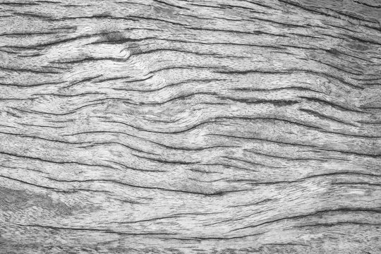 Beautiful vintage black and white wooden wall texture background