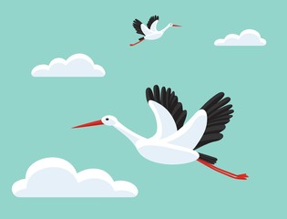 Storks flying in sky. Bird as symbol for baby shower, delivery, news, pregnancy. Beautiful background.