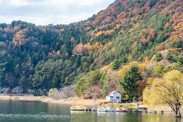 Fototapeta na wymiar Beautiful landscape in autumn season