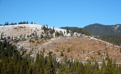 Obraz premium a mountainous area with deforested forest 