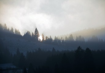 morning fog in the mountains