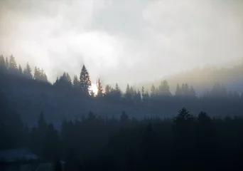 Crédence de cuisine en verre imprimé Forêt dans le brouillard morning fog in the mountains