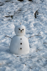 A picture of a snowman on snow-covered ground.     Burnaby Mountain  BC Canada