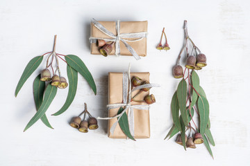 An Australian theme gift flat-lay composition. Native eucalyptus leaves and gum nuts on a white...