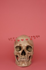 The replica of human skull with flying hoop of paper hearts isolated on a pink background. Valentine's day, love concept. Banner, poster, breaking, postcard. Copy space, place for text