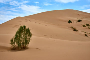 Fototapeta na wymiar Singing Dune in Altyn Emel National Park. Kazakhstan. Altyn-Emel National Park is a national park in Kazakhstan. 