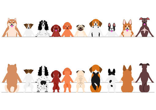 smiling small dogs border set, front and back