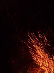 fireworks in the sky