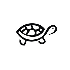 vector illustration of turtle