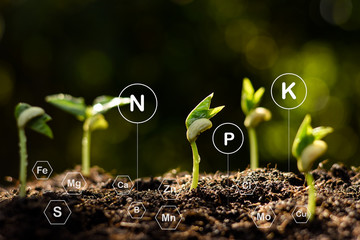 The seedlings are growing from the rich soil and there is technology icon about earth elements...