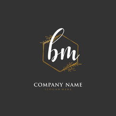 Handwritten initial letter B M BM for identity and logo. Vector logo template with handwriting and signature style.