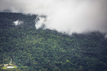 The Misty Foggy and rainy from above ,The top of Mon Jam,Chaingmai at Thailand
