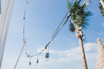 sky,Cloud,Coconut tree,Light bulb,