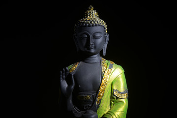 Lord Buddha, Pioneer or founder of Buddhism