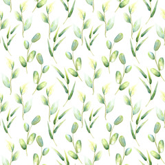 Botany leaves green watercolor seamless pattern on a white background for dizan