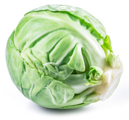 Green brussel sprout on white background.