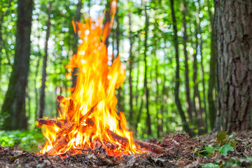 Hot flames of bonfire in the autumn wood. The place for meditation and relaxation after walking in...
