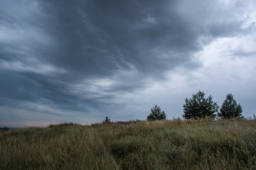 a cloudy dark blue sky over a field with a barely visible road overgrown with thick grass