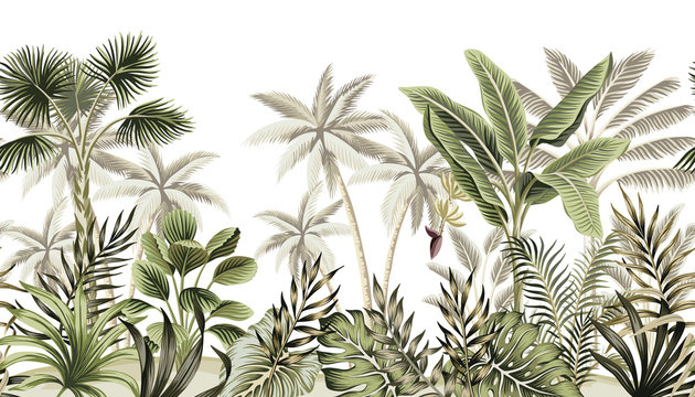 Tropical vintage botanical landscape, palm tree, banana tree, plant floral seamless border white background. Exotic green jungle wallpaper.