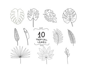 Tropical leaves hand-drawn doodle, monstera design