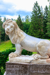 Fototapeta na wymiar Marble statue of the lion on large stone staircase in Pavlovsk Palace Park