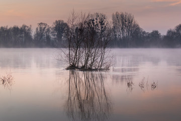La Loire au matin