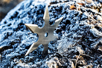 Shuriken (throwing star), traditional japanese ninja cold weapon stuck in wooden background,Silver shuriken with star shape.Samurai, throwing weapons © bukhta79