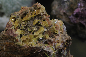 Fototapeta na wymiar wulfenite mineral texture