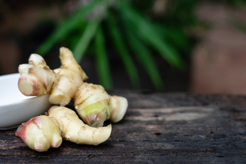 Fresh ginger on wooden table with blur green garden background