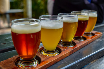 Craft beer tasting: five glasses with beers of different colors and flavors. A wooden cup holder holds the glasses in a row.