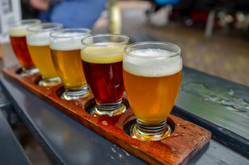 Craft beer tasting: five glasses with beers of different colors and flavors. A wooden cup holder holds the glasses in a row.